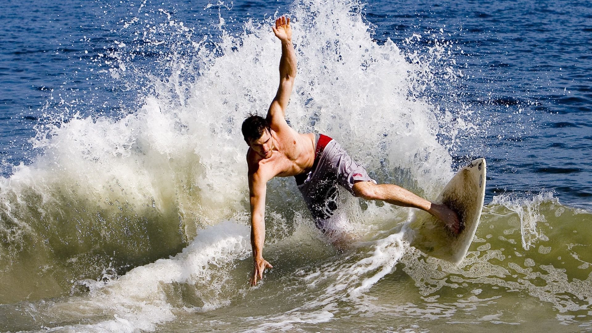 帕利斯特女子800米自由泳赛场亮点,女子800米自由泳2011